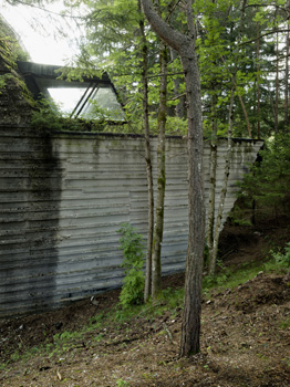 bauwelt.jpg (262×350)