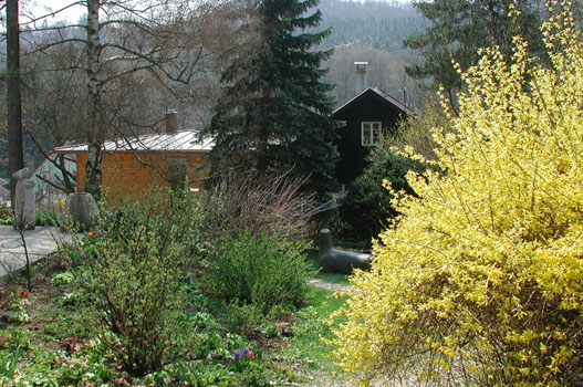 zubau_garten
